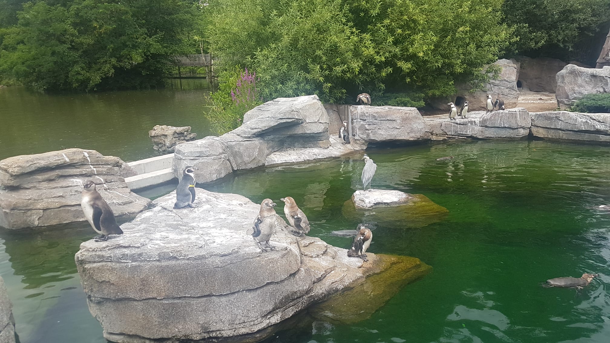 MicrosoftTeams-image (11).png